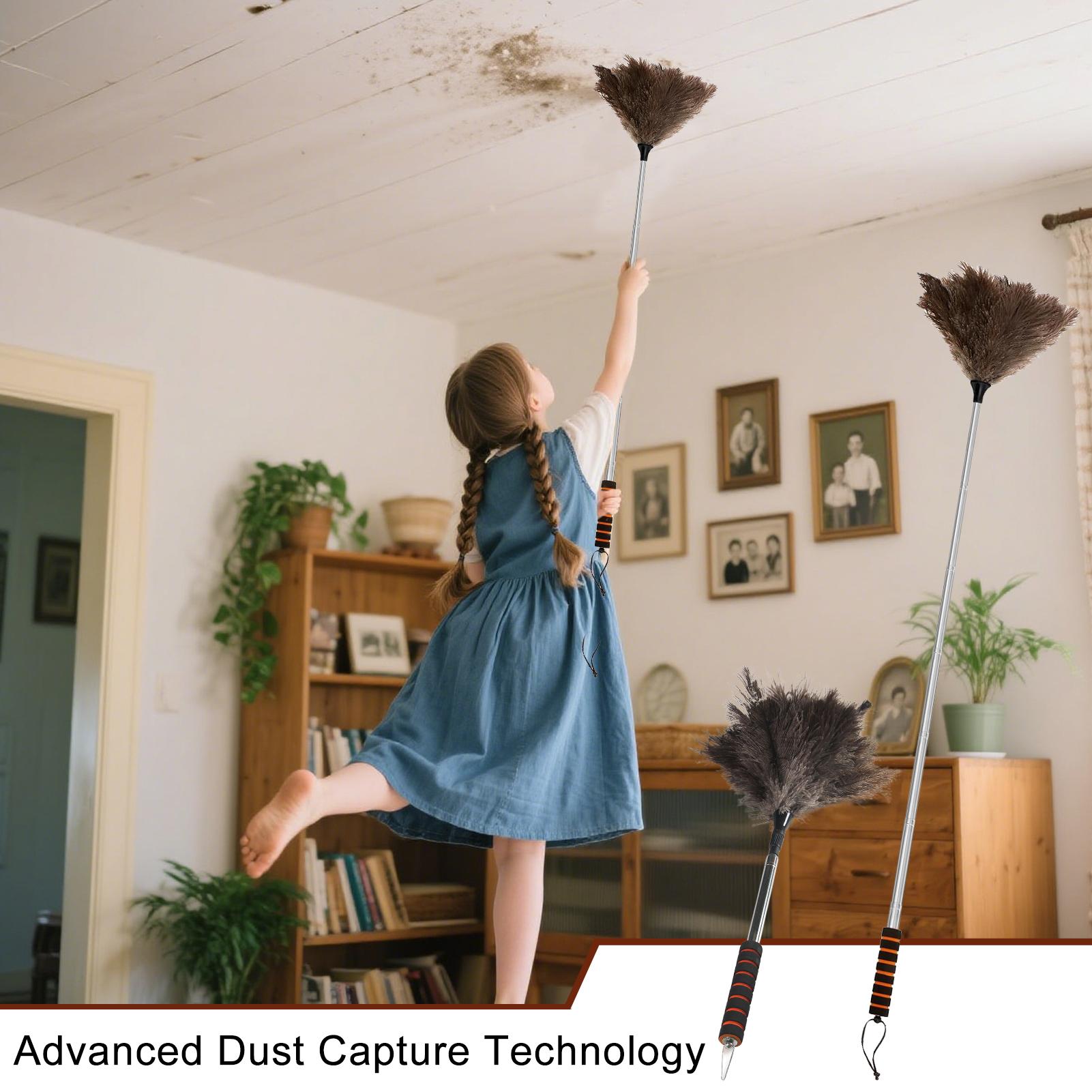 Extended Duster Handheld Dusting Mop 61 Inch Anti-Static Washable Feathers Duster For Vent Outdoor Truck Car Blind Baseboard China Mainland
Extended Duster Handheld Dusting Mop 61 Inch Anti-Static Washable Feathers Duster For Vent Outdoor Truck Car Blind Baseboard China Mainland