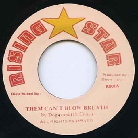 7inch Record DOGWOOD - Them Can t Blow Breathe RS01 Rising Star 1985 UK Reggae, Ska & Dub
7inch Record DOGWOOD - Them Can t Blow Breathe RS01 Rising Star 1985 UK Reggae, Ska & Dub