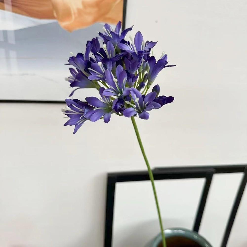 Long Branch Agapanthus Flowers Branch Fake Artificial Flower Fake Lotus Flower Table Accessories синий/фиолетовый
Long Branch Agapanthus Flowers Branch Fake Artificial Flower Fake Lotus Flower Table Accessories синий/фиолетовый