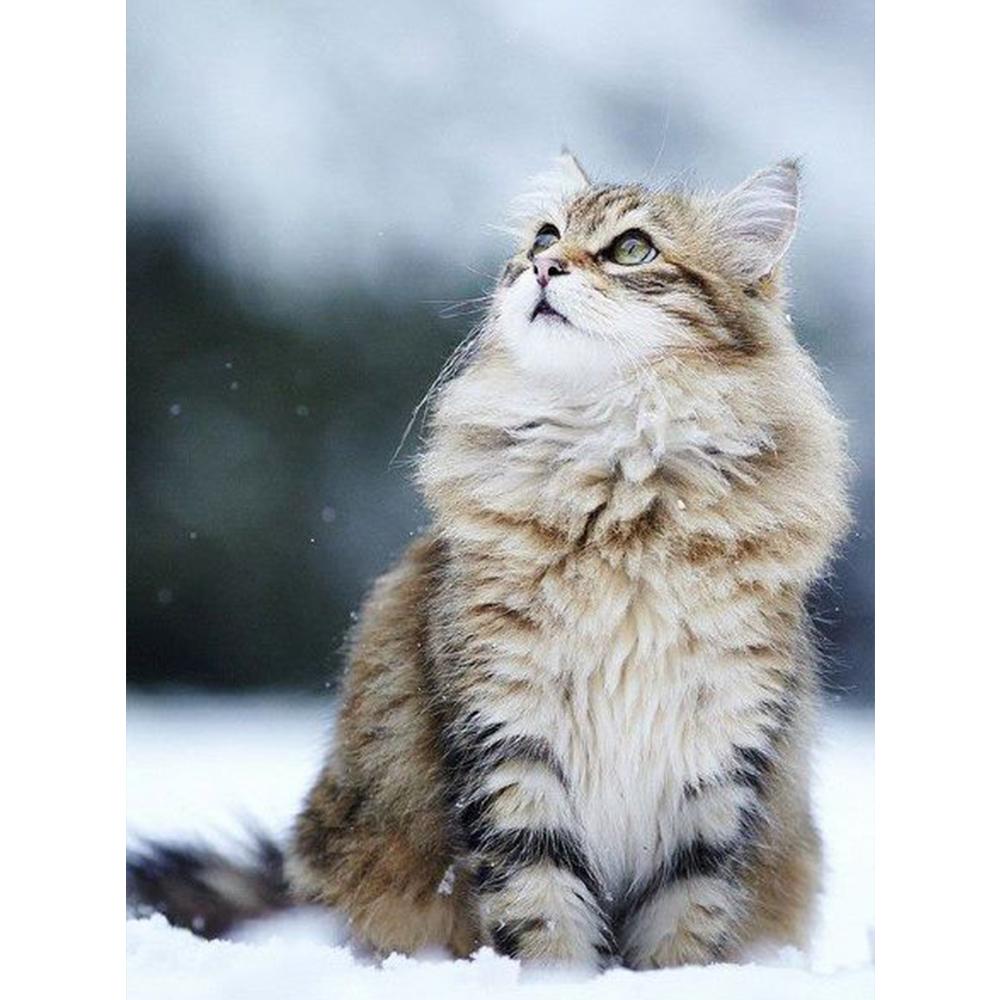 Алмазная картина Павлин, вышивка крестиком, Алмазная вышивка, животное, 5D DIY, полная круглая картина со стразами, домашний декор, подарок 20X30CM красный
Алмазная картина Павлин, вышивка крестиком, Алмазная вышивка, животное, 5D DIY, полная круглая картина со стразами, домашний декор, подарок 20X30CM красный