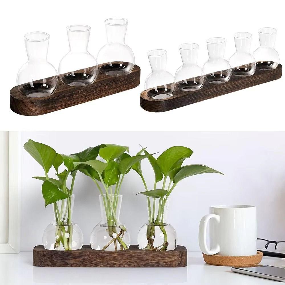 3/5pcs Bottles Plant Terrarium Propagation Station Glass Planter Bulb Vase Decorating 3Pcs
3/5pcs Bottles Plant Terrarium Propagation Station Glass Planter Bulb Vase Decorating 3Pcs