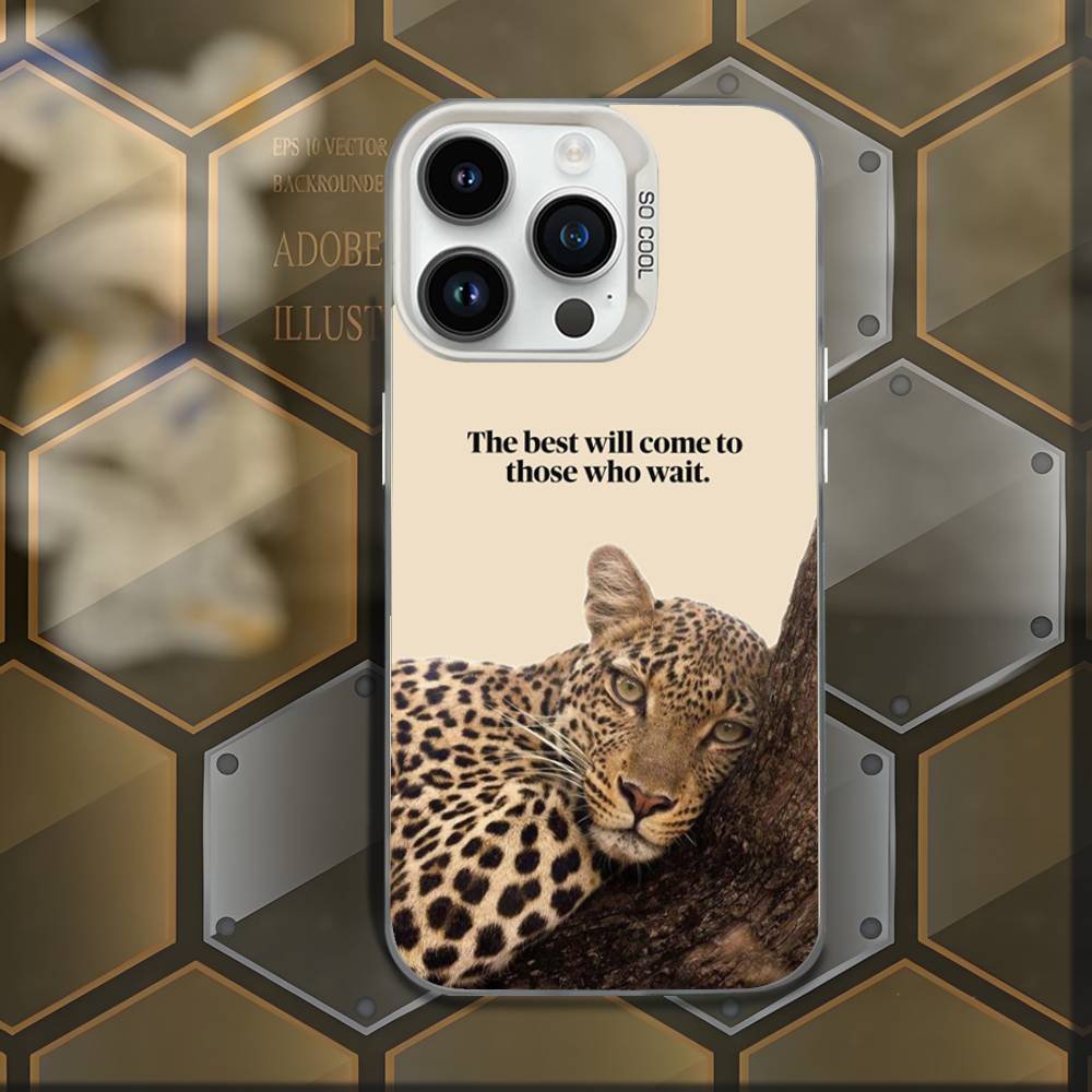 Luxury fashion leopard print Phone Case For iPhone 16,15,14,13,12,11,Mini,Pro,E,MAX White Candy Matte Shockproof Cover iPhone13mini
Luxury fashion leopard print Phone Case For iPhone 16,15,14,13,12,11,Mini,Pro,E,MAX White Candy Matte Shockproof Cover iPhone13mini