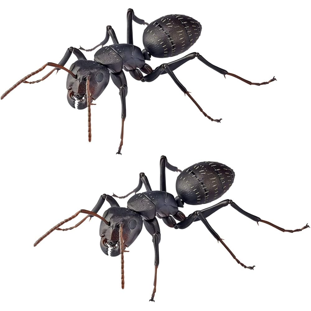 Kaiyodo REVO GEO Черный муравей-древоточец Camponotus (Муравей-кампанейро) - Примерно 115 мм в длину, без масштаба, ПВХ и АБС, предварительно окрашенная, подвижная фигурка
Kaiyodo REVO GEO Черный муравей-древоточец Camponotus (Муравей-кампанейро) - Примерно 115 мм в длину, без масштаба, ПВХ и АБС, предварительно окрашенная, подвижная фигурка