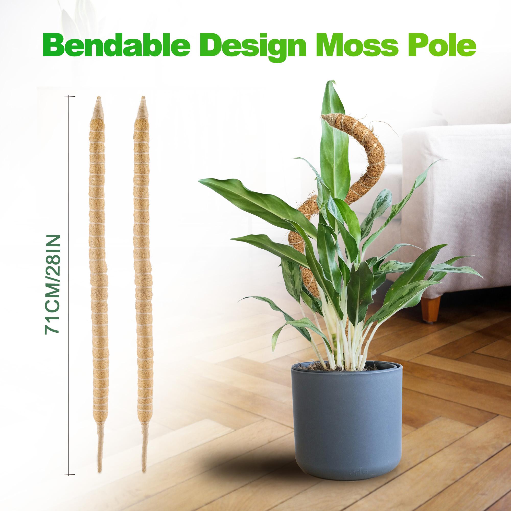 2pcs 28in Moss Pole, Bendable Moss Poles For Climbing Plants, Plant Sticks Support For Indoor/Outdoor Plants Potted United States
2pcs 28in Moss Pole, Bendable Moss Poles For Climbing Plants, Plant Sticks Support For Indoor/Outdoor Plants Potted United States