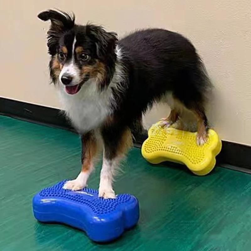 Дрессировочные приспособления для собак Поведение Лечение Фитнес Баланс Мышцы Щенок Движение Ловкость Игрушки для домашних собак Аксессуары Реабилитационные принадлежности
Дрессировочные приспособления для собак Поведение Лечение Фитнес Баланс Мышцы Щенок Движение Ловкость Игрушки для домашних собак Аксессуары Реабилитационные принадлежности