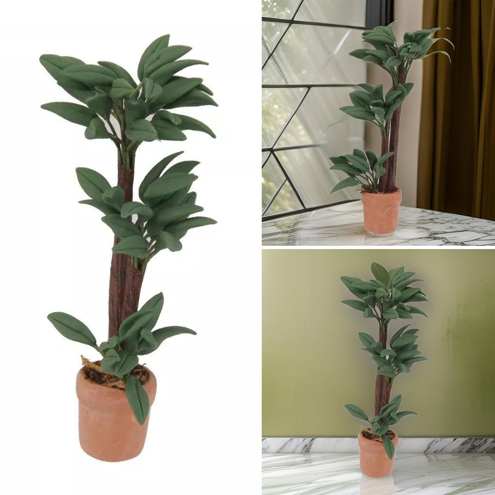 Dollhouse Miniature Potted Plant Brazilwood Money Tree Bonsai for Dollhouse Home Decoration Scene Displaying Accessory
Dollhouse Miniature Potted Plant Brazilwood Money Tree Bonsai for Dollhouse Home Decoration Scene Displaying Accessory