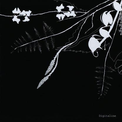 12inch Record DIGITALINE - Rubicube / Belladone CADENZA07 Cadenza 2005 Switzerlan Dance & Electronica Used
12inch Record DIGITALINE - Rubicube / Belladone CADENZA07 Cadenza 2005 Switzerlan Dance & Electronica Used