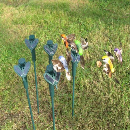 Горячая Солнечная Энергия Летающая Трепещущая Колибри Летающие Птицы Случайный Декор Сад