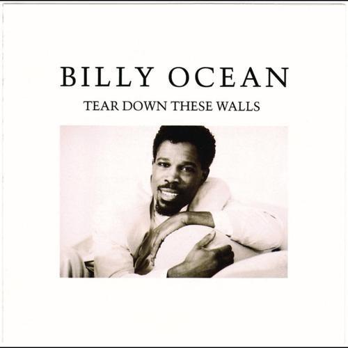 LP Пластинка BILLY OCEAN - Tear Down These Walls JL8495 JIVE 1988 Канада Соул/Фанк Б/У
LP Пластинка BILLY OCEAN - Tear Down These Walls JL8495 JIVE 1988 Канада Соул/Фанк Б/У