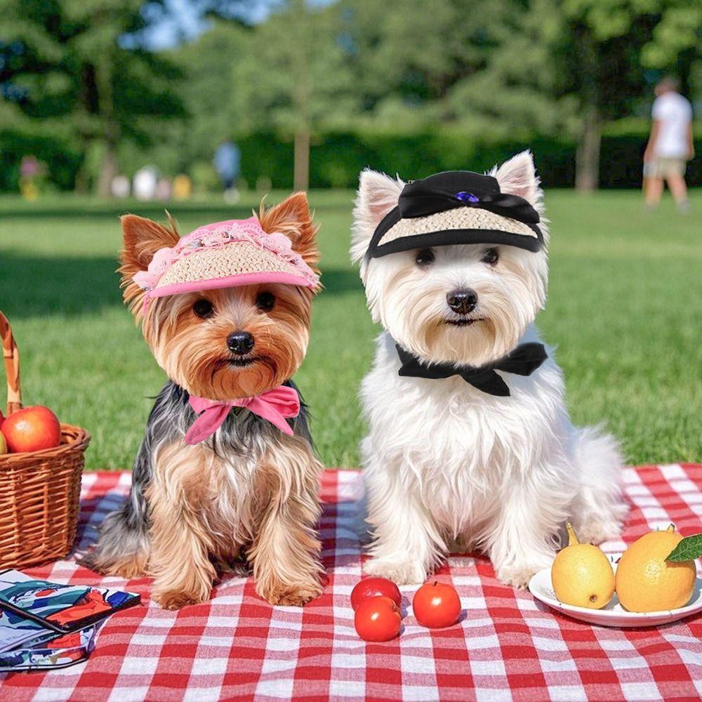 Grass Woven Dog Fisherman Hat French Style Pet Baseball Cap Cute Dog Sunscreen Hat Outdoor M білий
Grass Woven Dog Fisherman Hat French Style Pet Baseball Cap Cute Dog Sunscreen Hat Outdoor M білий