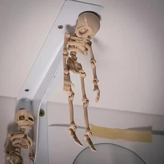 Poseable Skeleton Refrigerator Magnet Halloween Skeleton Figurine with Movable Joints Articulated Gothic Skeleton Magnetic Fridge Decoration Ornament
Poseable Skeleton Refrigerator Magnet Halloween Skeleton Figurine with Movable Joints Articulated Gothic Skeleton Magnetic Fridge Decoration Ornament