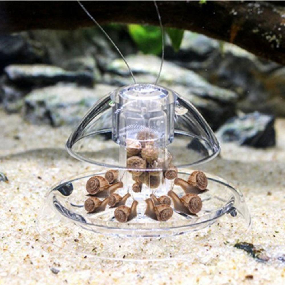Durable Plastic Pest Catch Box Fish Tank Cleaner Tools Snail Trap Catcher Planarian Catcher S
Durable Plastic Pest Catch Box Fish Tank Cleaner Tools Snail Trap Catcher Planarian Catcher S