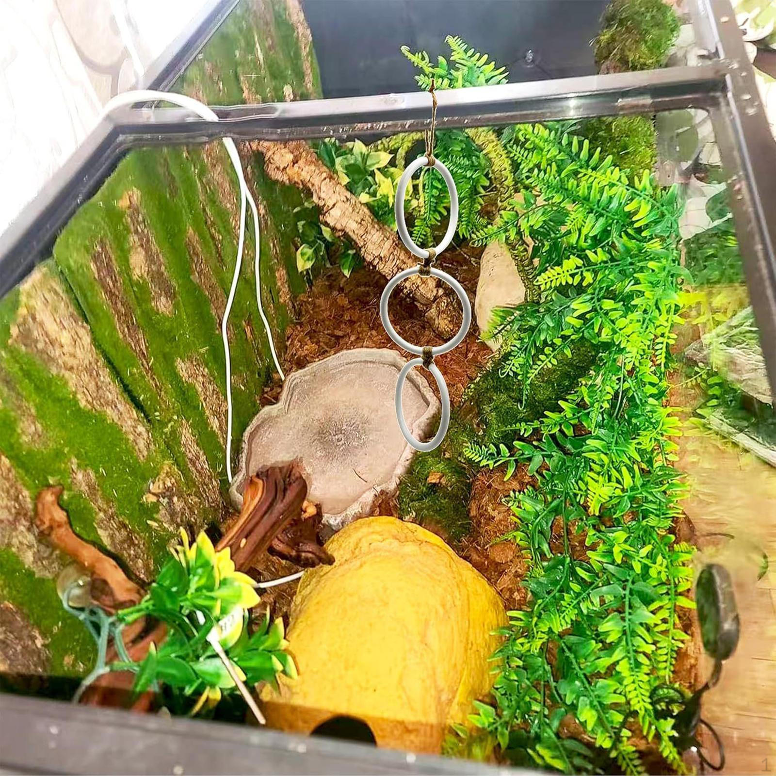 Кольца для лазания для аксессуаров для террариума рептилий белый
Кольца для лазания для аксессуаров для террариума рептилий белый