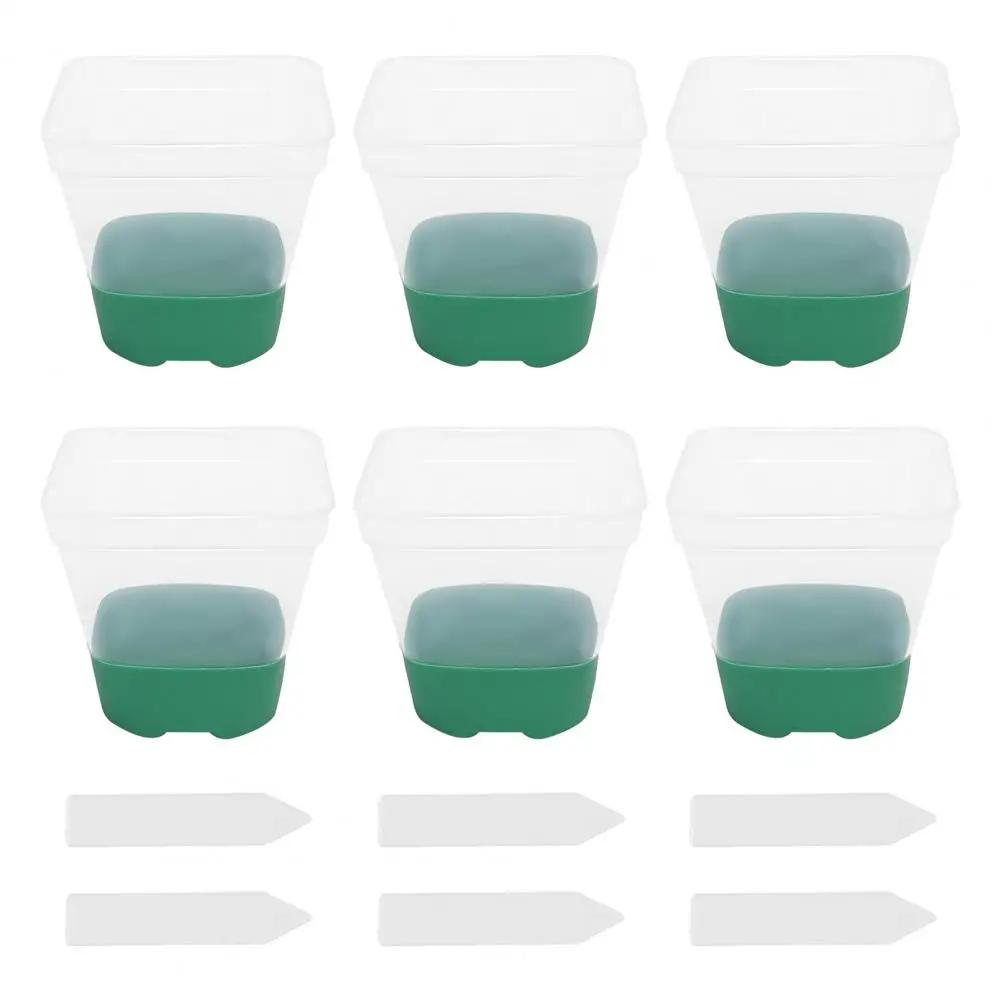 6 plastic square flower pots, transparent planting and seedling pots, reusable, breathable with silicone bottom and label зелёный
6 plastic square flower pots, transparent planting and seedling pots, reusable, breathable with silicone bottom and label зелёный