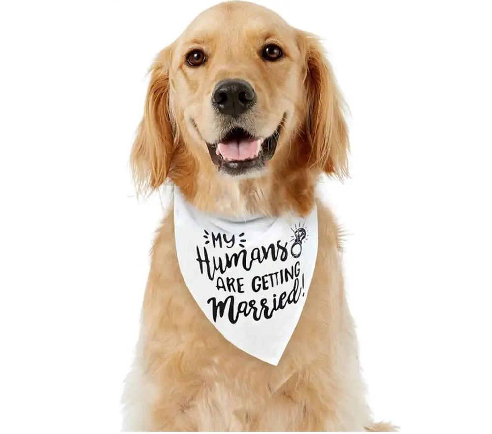 My Humans are Getting Married Dog Bandana Pet Scarf Wedding Engagement Announcement bridal shower decoration Photo shoot gift
My Humans are Getting Married Dog Bandana Pet Scarf Wedding Engagement Announcement bridal shower decoration Photo shoot gift