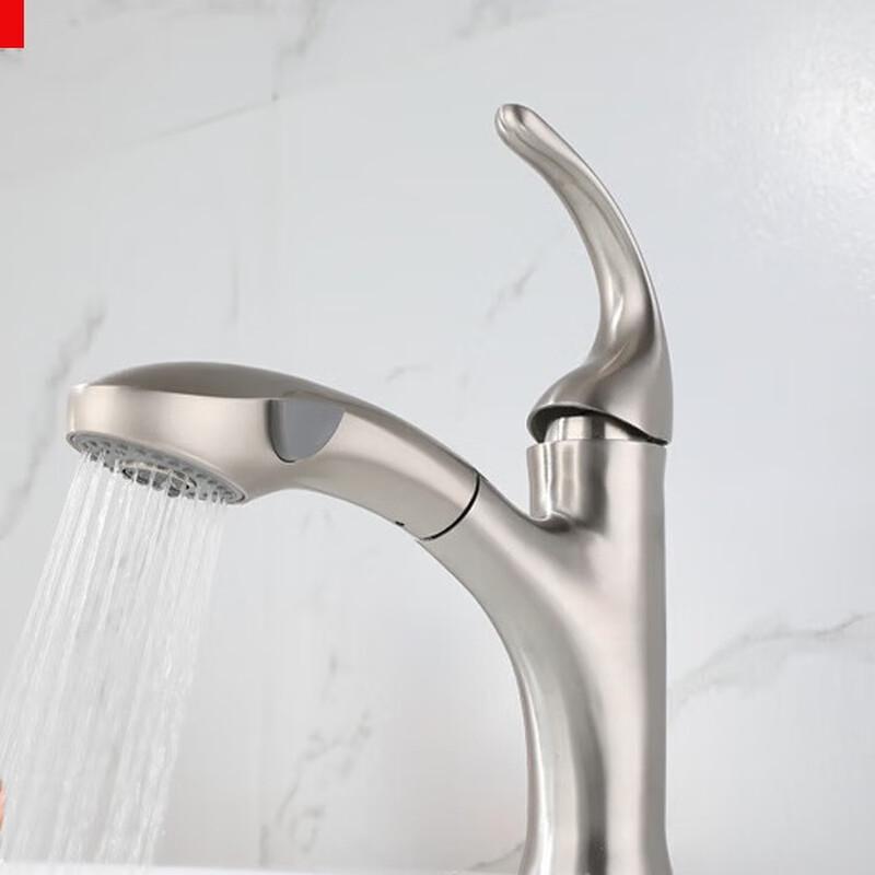 TLXT Brushed Pull-Out Bathroom Faucet with Extended Spout
TLXT Brushed Pull-Out Bathroom Faucet with Extended Spout
