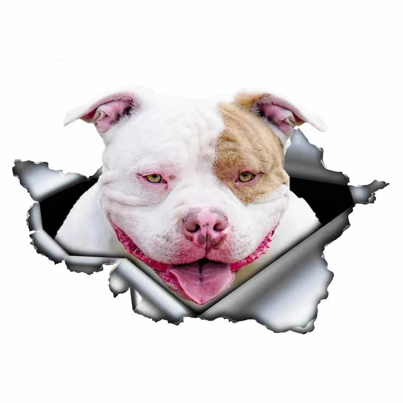 LYKX Blue Pitbull Dog Car Sticker Creative Torn Metal Decal Waterproof StickersCar Styling Pet Car Decoration 13CM
LYKX Blue Pitbull Dog Car Sticker Creative Torn Metal Decal Waterproof StickersCar Styling Pet Car Decoration 13CM
