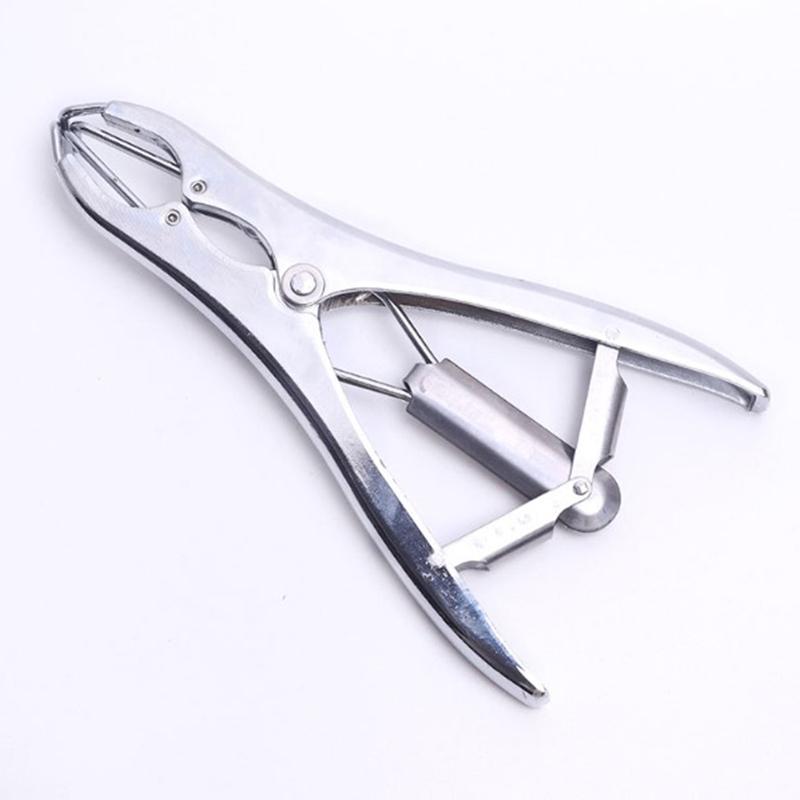 Металлические шары Плоскогубцы для расширения Наполнение шаров Расширитель рта Наполнение конфетти серебряный
Металлические шары Плоскогубцы для расширения Наполнение шаров Расширитель рта Наполнение конфетти серебряный