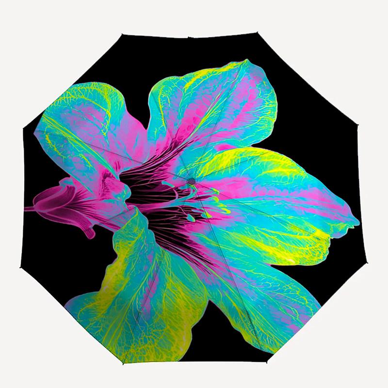 Colorful Flower Auto-Folding Umbrella with 3-Fold Design, Iron Frame for Outdoor Use, Perfect Gift for Fans and Travelers1121033a
Colorful Flower Auto-Folding Umbrella with 3-Fold Design, Iron Frame for Outdoor Use, Perfect Gift for Fans and Travelers1121033a