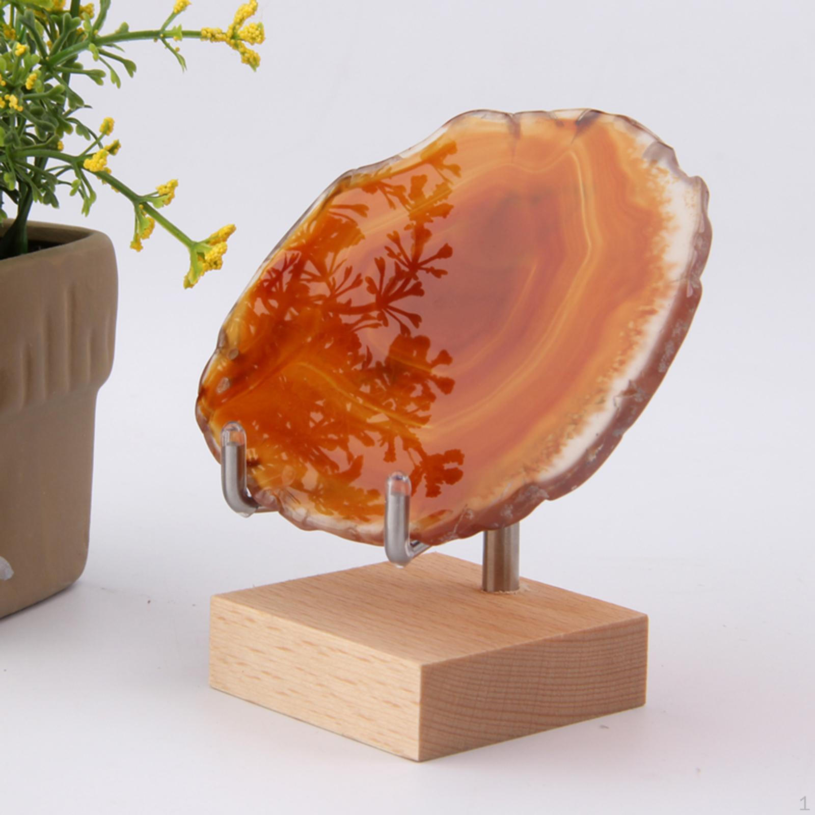 Mineral Stand Display Holder Rack Wooden Bottom for Crystal Unique
Mineral Stand Display Holder Rack Wooden Bottom for Crystal Unique