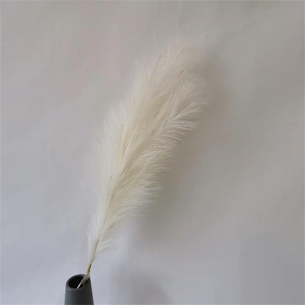 10pcs Tall Artificial Flower Pampas Grass 97cm Fluffy Faux Reed for Floor Vase Filler Home Boho Decor Wedding Party Decoration слонова кістка
10pcs Tall Artificial Flower Pampas Grass 97cm Fluffy Faux Reed for Floor Vase Filler Home Boho Decor Wedding Party Decoration слонова кістка