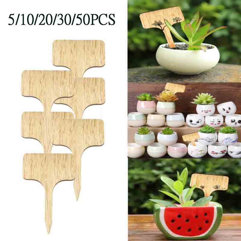 30/50pcs T-Type Bamboo Plant Labels Eco-Friendly Wooden Plant Sign Tags Garden Markers For Seed Potted Herbs Flowers Tools 5PCS
30/50pcs T-Type Bamboo Plant Labels Eco-Friendly Wooden Plant Sign Tags Garden Markers For Seed Potted Herbs Flowers Tools 5PCS