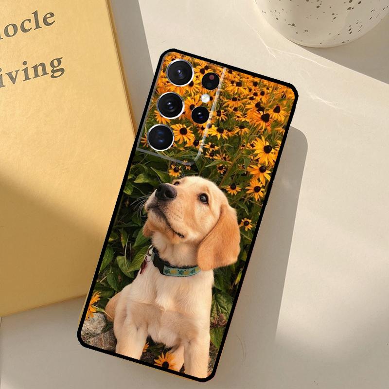 Golden Retriever Friend Phone Case For Samsung Galaxy S23 S20 S21 S22 S24 S25 Ultra S9 S10 Plus S25 FE Cover Shell Galaxy S9 Plus
Golden Retriever Friend Phone Case For Samsung Galaxy S23 S20 S21 S22 S24 S25 Ultra S9 S10 Plus S25 FE Cover Shell Galaxy S9 Plus