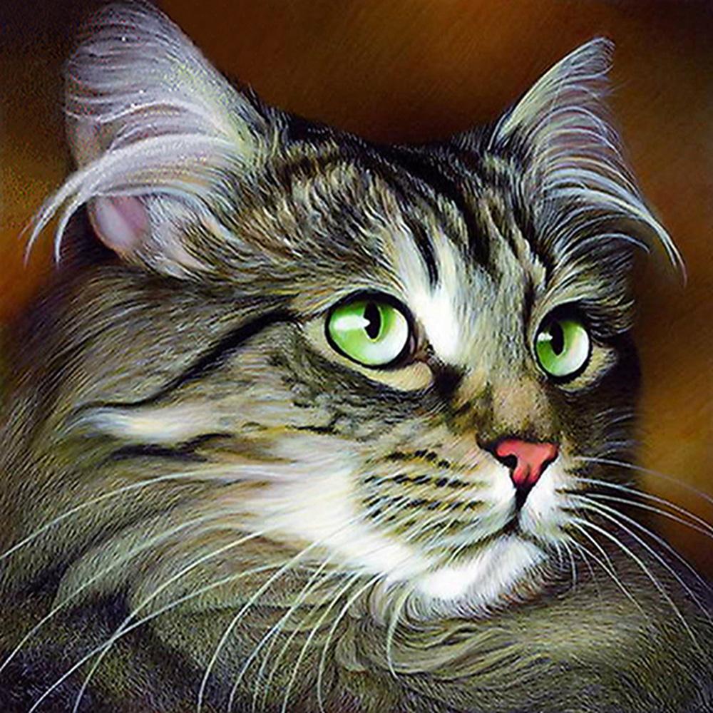 5D Руководство Алмазная живопись Мозаика Работа котенок площадь / круглый Алмазная вышивка Подарок или украшение
5D Руководство Алмазная живопись Мозаика Работа котенок площадь / круглый Алмазная вышивка Подарок или украшение
