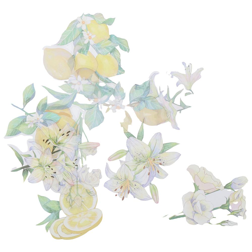 40 шт., наклейки для домашних животных, разноцветные наклейки с фруктами, наклейки для журналов, наклейки для скрапбукинга, сделай сам
40 шт., наклейки для домашних животных, разноцветные наклейки с фруктами, наклейки для журналов, наклейки для скрапбукинга, сделай сам