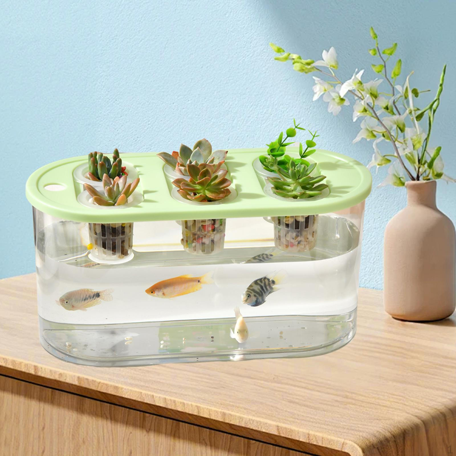 6 Holes Practical Flower Arrangement Vase for Home Growing
6 Holes Practical Flower Arrangement Vase for Home Growing