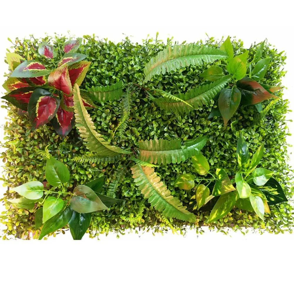 Indoor Outdoor Decor Artificial Green Wall Perfect For Gardens Easy Installation Lightweight Design Natural Appearance
Indoor Outdoor Decor Artificial Green Wall Perfect For Gardens Easy Installation Lightweight Design Natural Appearance