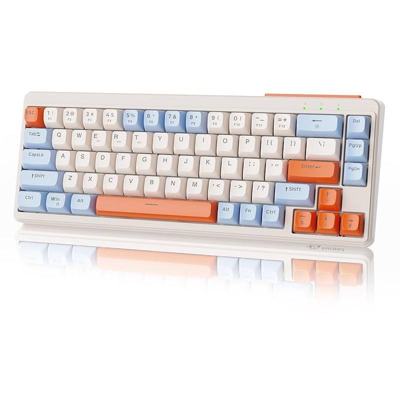 ZIYOU LANG M68 compact 3 modes membrane keyboard Bluetooth wireless wired 2.4GHz Type-C 67 keys 65% RGB lighting rechargeable Quiet small size PBT
ZIYOU LANG M68 compact 3 modes membrane keyboard Bluetooth wireless wired 2.4GHz Type-C 67 keys 65% RGB lighting rechargeable Quiet small size PBT