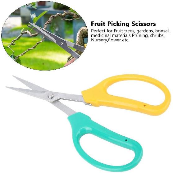 Stainless Steel Scissor, Curved Blade Grape Pruning Shears Fruit Branch Picking Scissors Bonsai Shears for Bonsai,Fruit Trees, Gardens,etc
Stainless Steel Scissor, Curved Blade Grape Pruning Shears Fruit Branch Picking Scissors Bonsai Shears for Bonsai,Fruit Trees, Gardens,etc