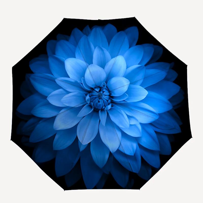1pc Blue Dahlia Automatic Opening/closing Umbrella with Auto Open/Close, Perfect Gift for Friends, Durable Plastic Handle yy250801143
1pc Blue Dahlia Automatic Opening/closing Umbrella with Auto Open/Close, Perfect Gift for Friends, Durable Plastic Handle yy250801143