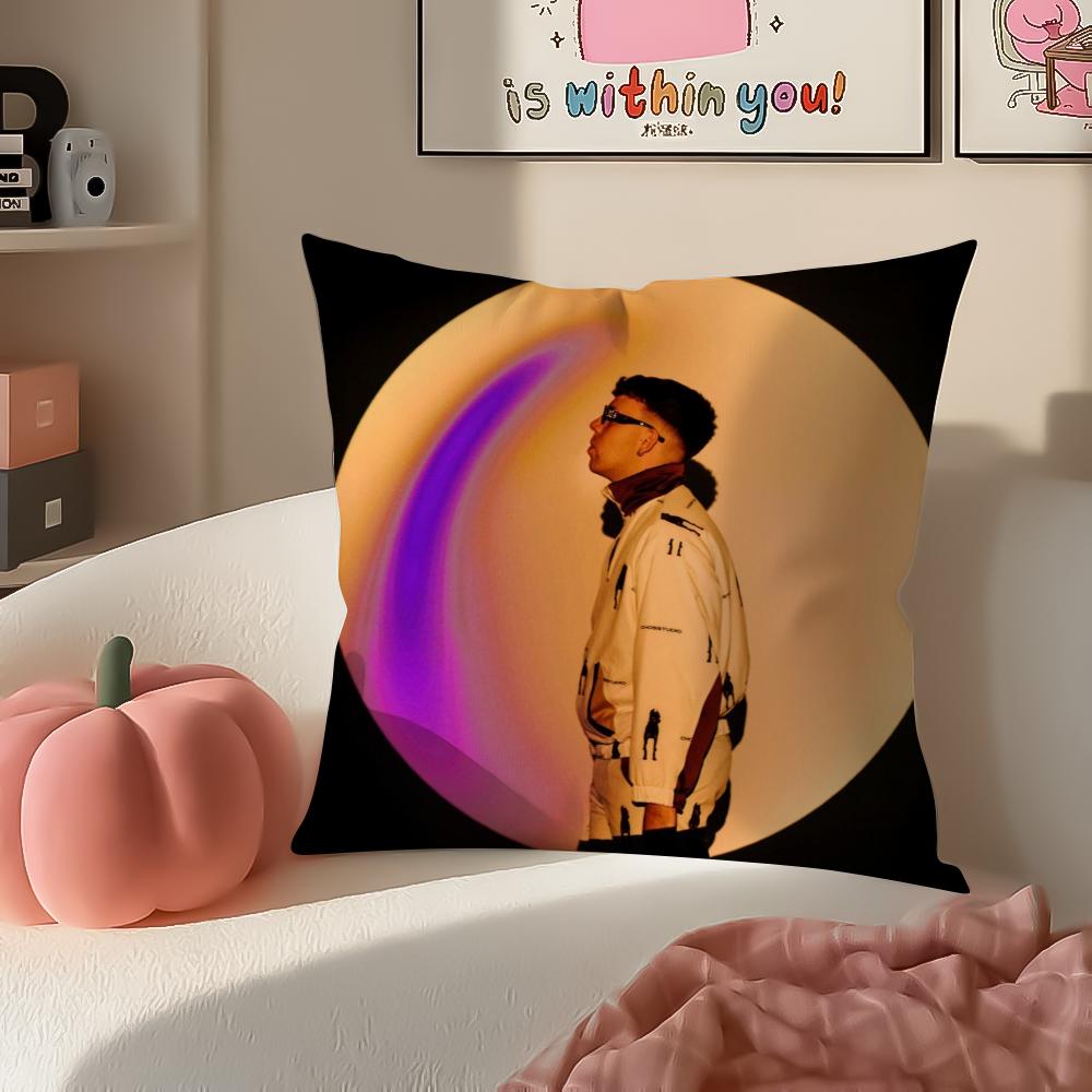 Hot Buenas VSinger QQuevedo Buenas Cushion Cover Pillowcase Short Plush Invisible zipper Room Sofa Cushion Cover 30X30cm
Hot Buenas VSinger QQuevedo Buenas Cushion Cover Pillowcase Short Plush Invisible zipper Room Sofa Cushion Cover 30X30cm