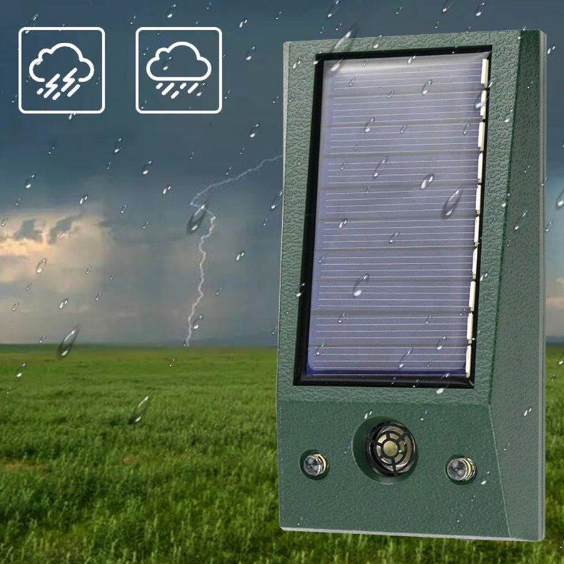 Уличные свиньи, собаки, кошки, птицы, пламя, репелленты для животных, солнечный репеллент
Уличные свиньи, собаки, кошки, птицы, пламя, репелленты для животных, солнечный репеллент