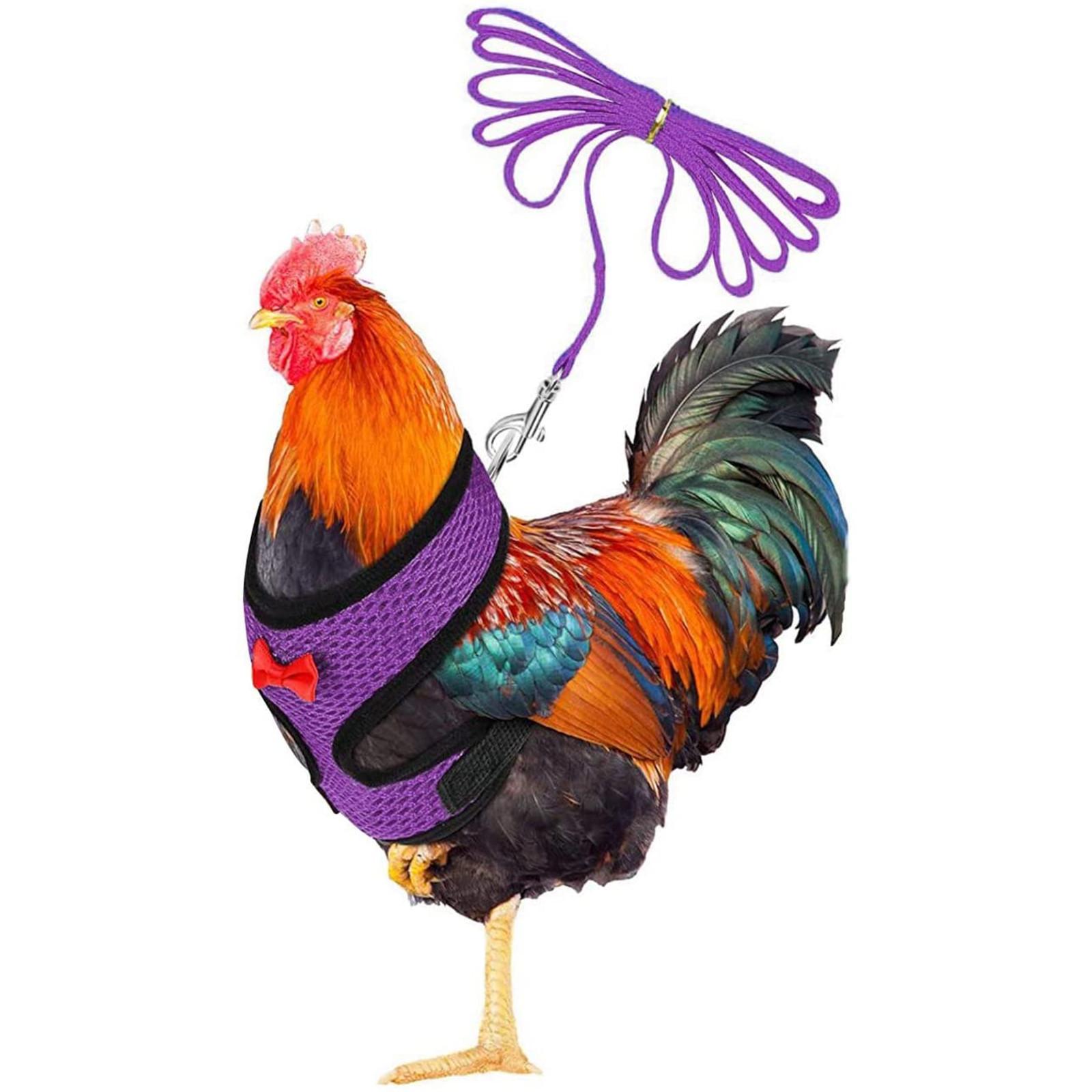 Sagit, курка, мотузка, з, повідцем, і, відповідним, поясом, зручним, куркою, твариною, жилеткою One Size фіолетовий
Sagit, курка, мотузка, з, повідцем, і, відповідним, поясом, зручним, куркою, твариною, жилеткою One Size фіолетовий