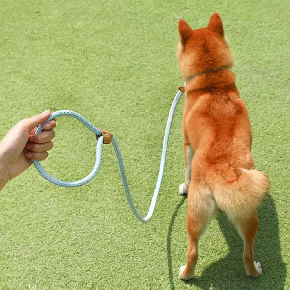 Multipurpose Double Head Pet Leash Double-ended Round Rope Lead Training Puppy Walking Cat Dog Leashes синий
Multipurpose Double Head Pet Leash Double-ended Round Rope Lead Training Puppy Walking Cat Dog Leashes синий