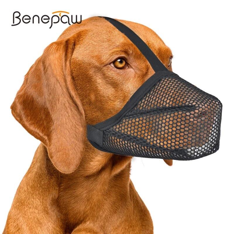 Мягкий намордник Benepaw для маленьких, средних и больших собак, дышащая сетка, крышка для рта для щенков, предотвращает кусание, жевание, лизание
Мягкий намордник Benepaw для маленьких, средних и больших собак, дышащая сетка, крышка для рта для щенков, предотвращает кусание, жевание, лизание