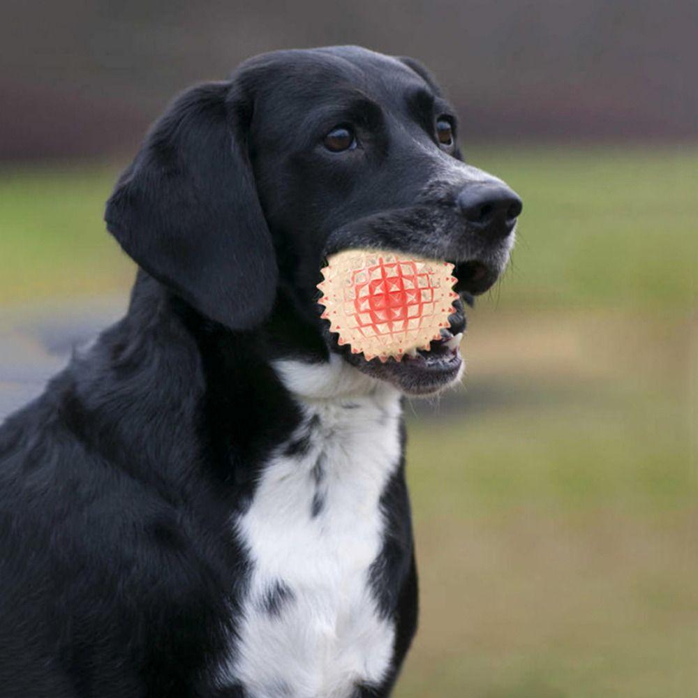 8,3 см эластичный мяч для собак TPE Pet Chew Ball тренировочный мяч для собак для чистки зубов красный
8,3 см эластичный мяч для собак TPE Pet Chew Ball тренировочный мяч для собак для чистки зубов красный