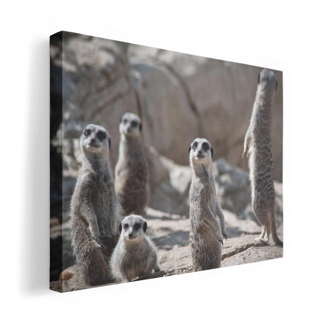 Art Panel Painting Decoration igsticker 420mm x 297mm A3 Photo Wall Hanging Wooden Frame Interior Stylish 023560 Meerkat Animal Photo
Art Panel Painting Decoration igsticker 420mm x 297mm A3 Photo Wall Hanging Wooden Frame Interior Stylish 023560 Meerkat Animal Photo
