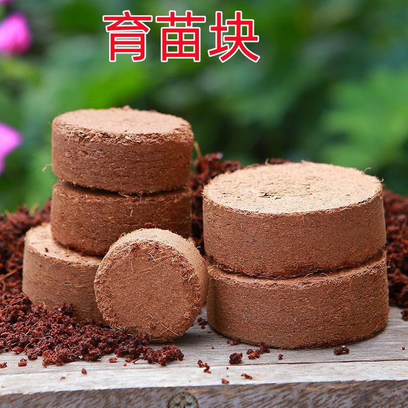 Compressed Coconut Bran Seedling Block Grass Flower Nutrient Block General-Purpose Absorbent Soil Fertilizer Seedling Planting Soil Coconut Shred
Compressed Coconut Bran Seedling Block Grass Flower Nutrient Block General-Purpose Absorbent Soil Fertilizer Seedling Planting Soil Coconut Shred