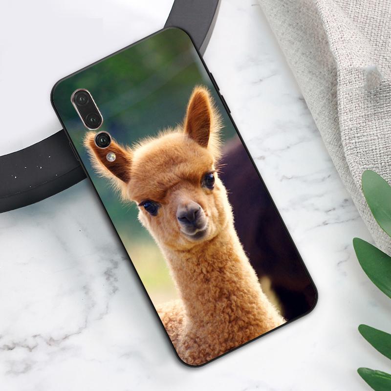 Cute Alpaca Donkey Case For Huawei Nova Y61 Y91 Y70 Y60 Y90 Y72 Y73 12s 12i 11i 8i 9 10 SE P30 P40 Lite P60 Pro Huawei P30 Lite
Cute Alpaca Donkey Case For Huawei Nova Y61 Y91 Y70 Y60 Y90 Y72 Y73 12s 12i 11i 8i 9 10 SE P30 P40 Lite P60 Pro Huawei P30 Lite