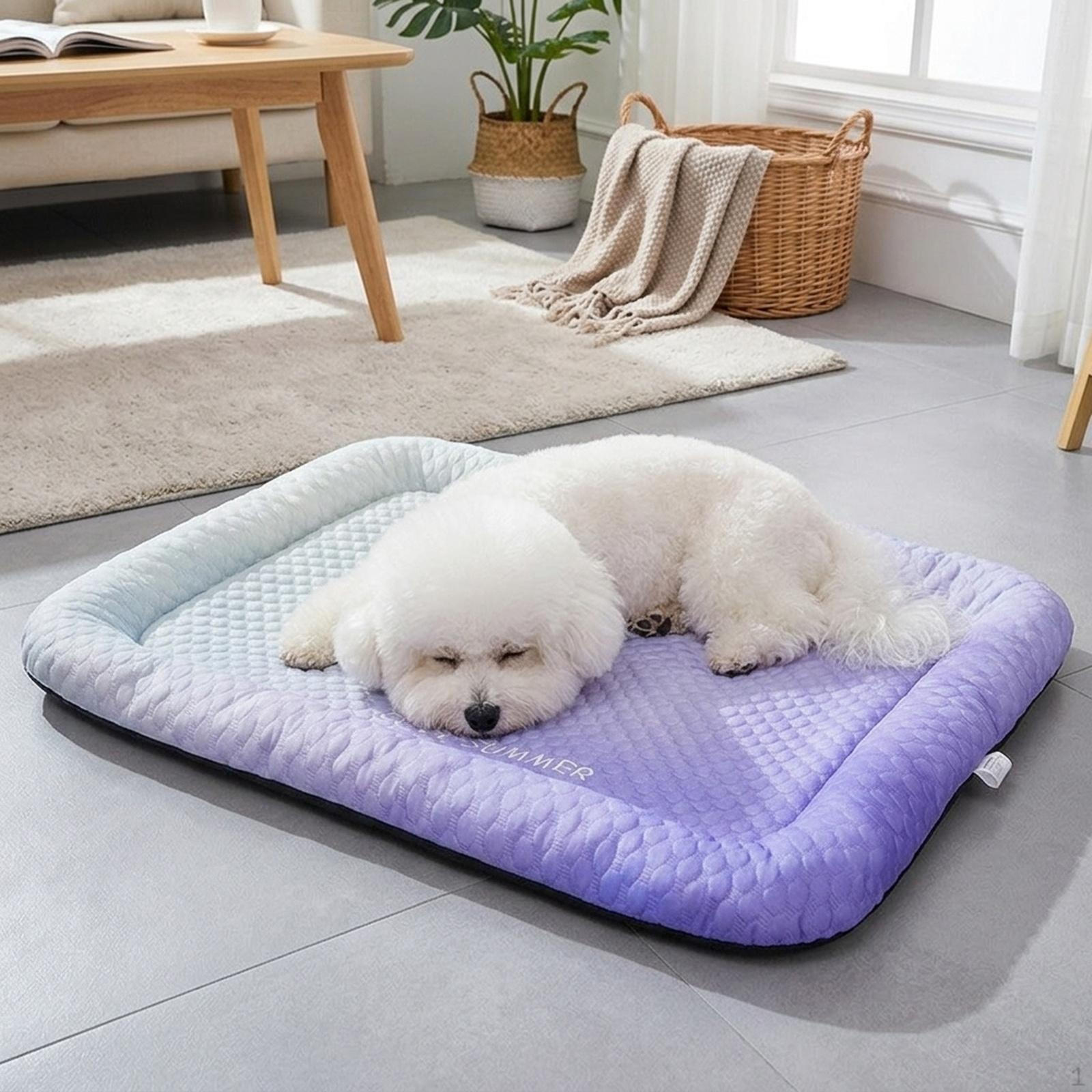 Cooling Dog Mat, Ergonomic Sleeping Cushion, Bed for Sofa Or Kennel Gradient Blue Purple
Cooling Dog Mat, Ergonomic Sleeping Cushion, Bed for Sofa Or Kennel Gradient Blue Purple