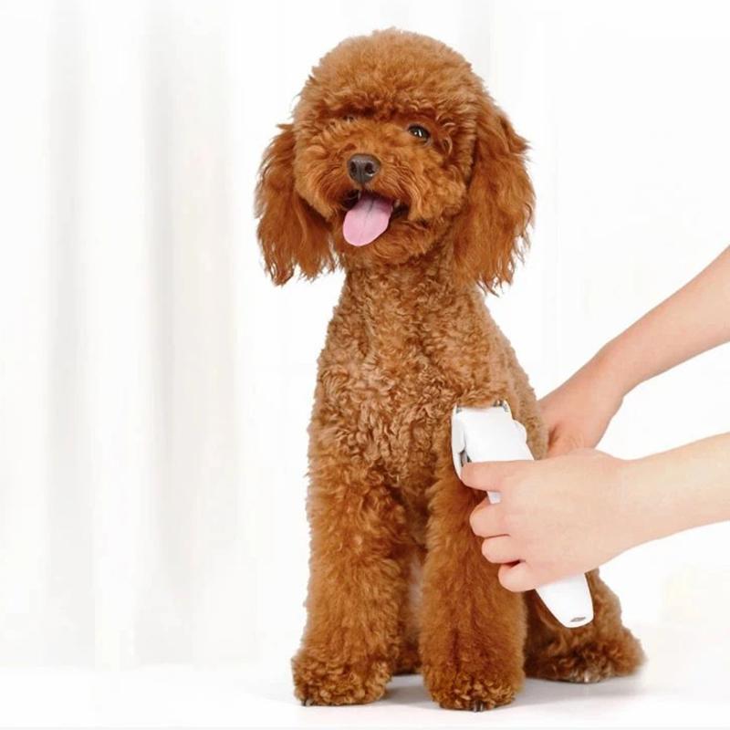 XIAOMI YOUPIN Pawbby MG-HC001 Pet Electric Hair Shaver Rechargeable Dog Grooming Clippers with Lubricant Type A
XIAOMI YOUPIN Pawbby MG-HC001 Pet Electric Hair Shaver Rechargeable Dog Grooming Clippers with Lubricant Type A