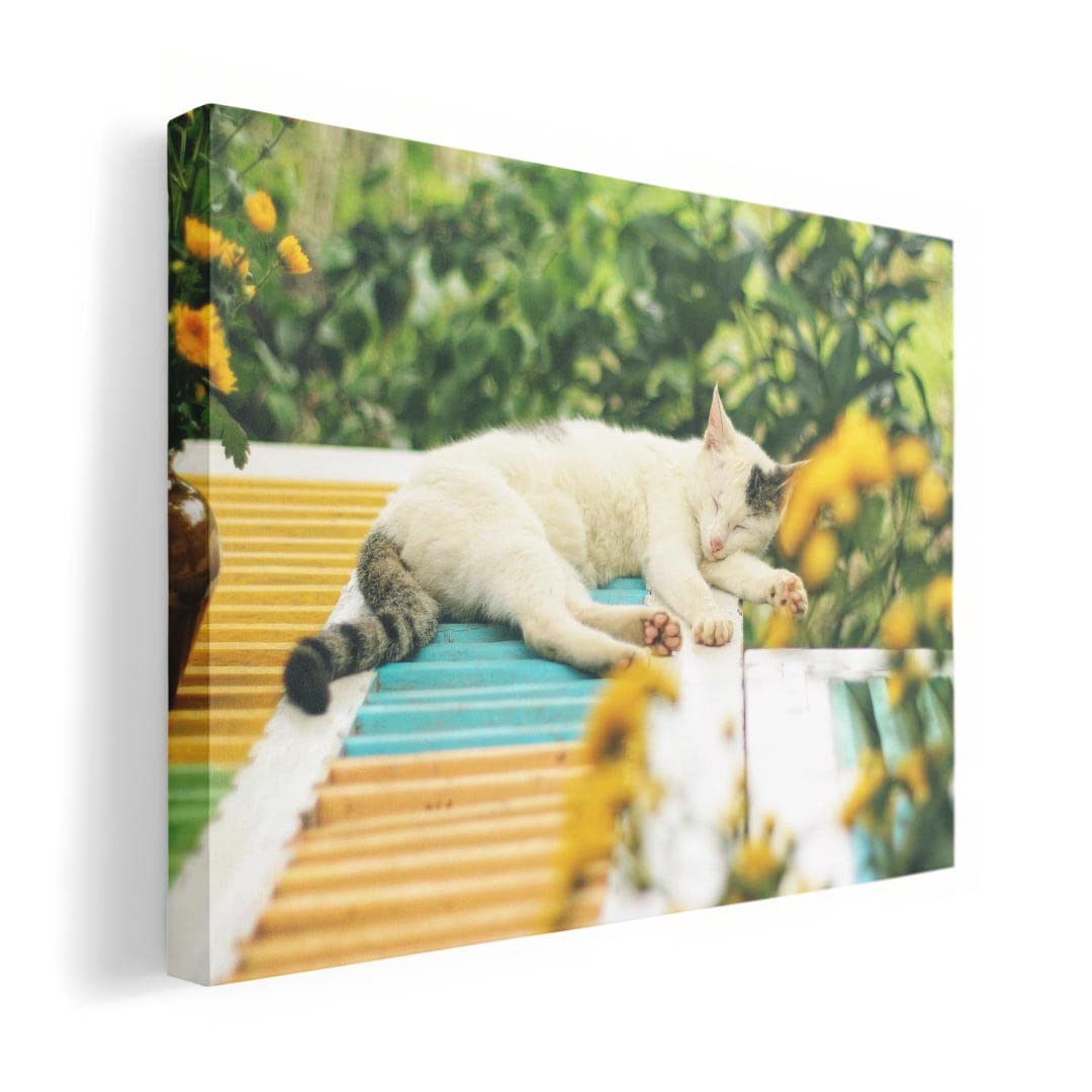 Art 420mm x Wall Wooden Stylish Interior Animal Photo Panel, Picture, Painting, Decoration, igsticker, 297mm, A3, Photo, Hanging, Frame, Decor,
Art 420mm x Wall Wooden Stylish Interior Animal Photo Panel, Picture, Painting, Decoration, igsticker, 297mm, A3, Photo, Hanging, Frame, Decor,