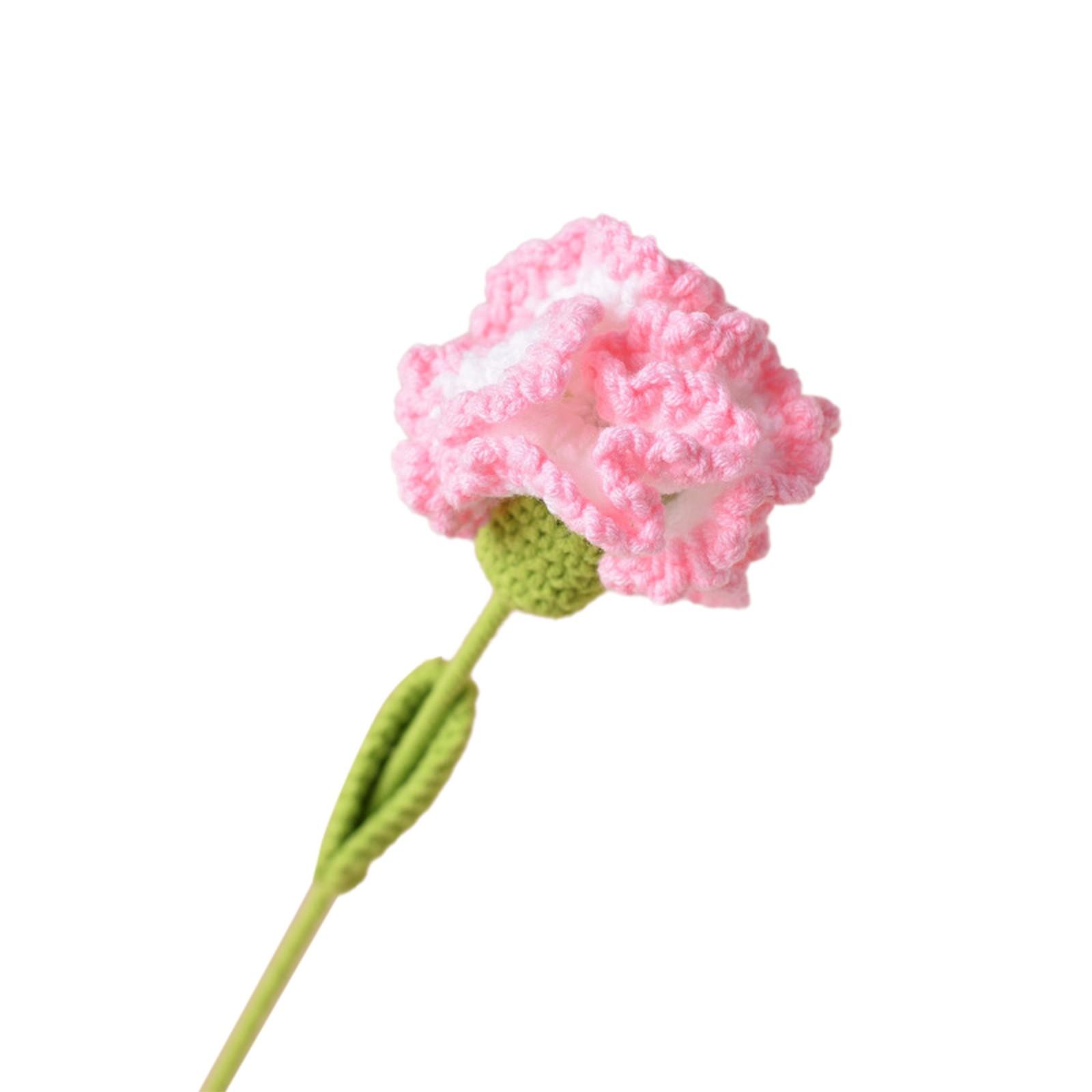 Handmade Crochet Carnation Artificial Flower Bouquet Mother Day Gift Decorative Faux Floral Arrangement Handcrafted Craft Flower Bundle One Size
Handmade Crochet Carnation Artificial Flower Bouquet Mother Day Gift Decorative Faux Floral Arrangement Handcrafted Craft Flower Bundle One Size