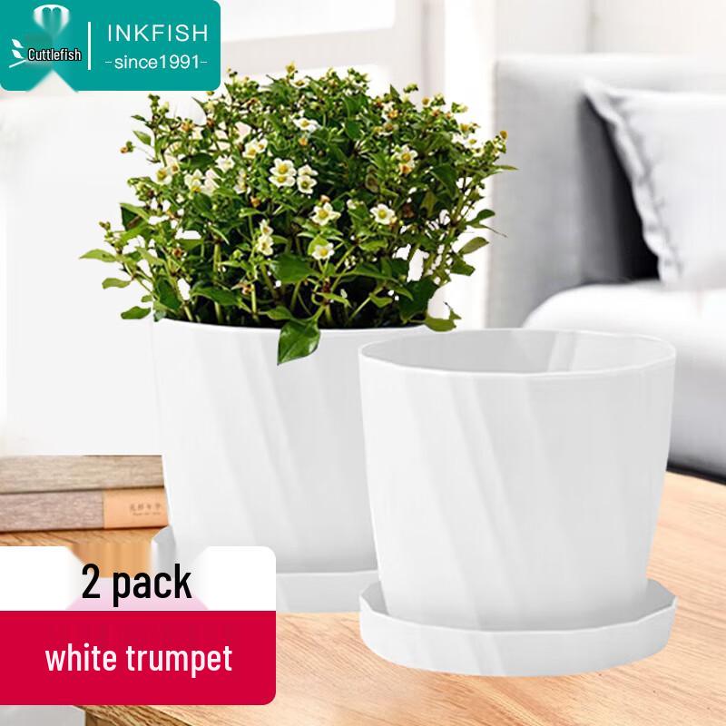 Athens Style Resin Succulent Planter with Tray
Athens Style Resin Succulent Planter with Tray