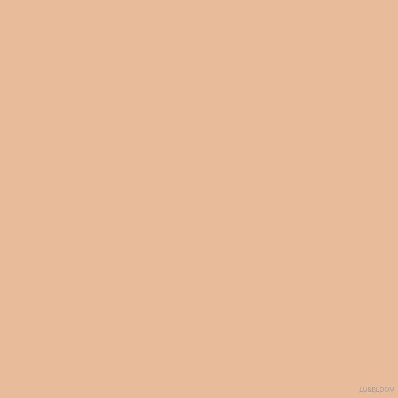 GIVERNY Milchak Cover Foundation 30ml SPF30 PA++ (+Free gift) 23NW Medium Beige
GIVERNY Milchak Cover Foundation 30ml SPF30 PA++ (+Free gift) 23NW Medium Beige