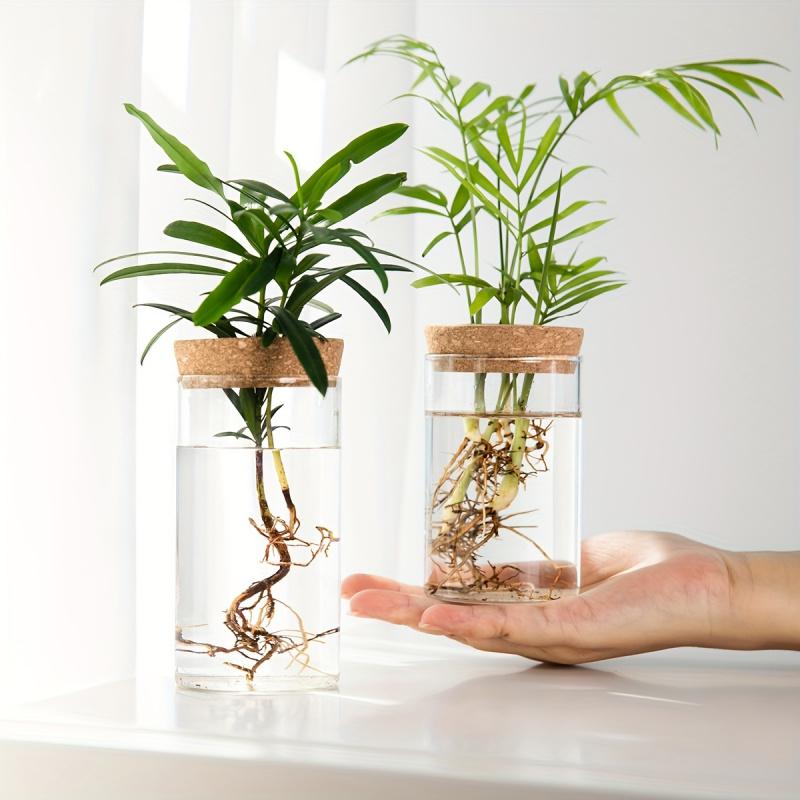 1pc, Hydroponics Plants Desktop Glass Planter Vase For Home Decoration, Plant Propagation Station Bud Vase, Desktop Hydroponics
1pc, Hydroponics Plants Desktop Glass Planter Vase For Home Decoration, Plant Propagation Station Bud Vase, Desktop Hydroponics